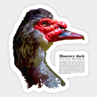 Muscovy duck head black text Sticker